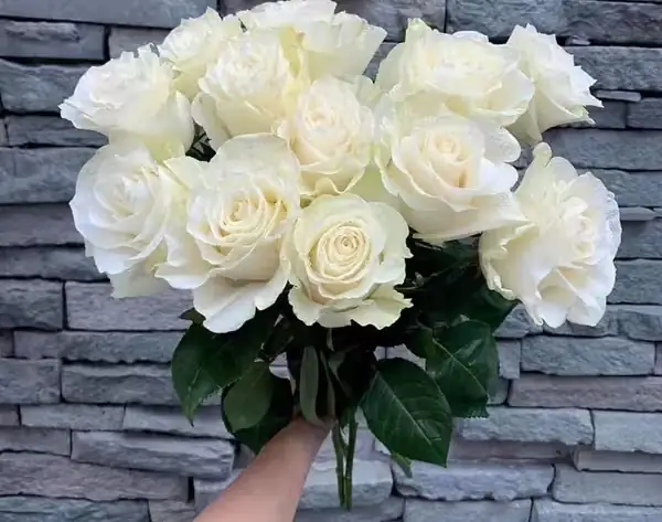 Chọn Những Loại Hoa Đúng Sở Thích
