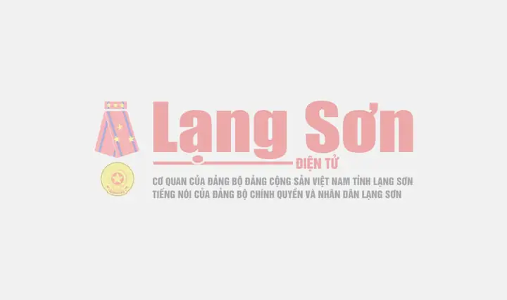Chủ Tịch Hồ Chí Minh - Người Khai Sinh Ra Nước Việt Nam Mới - Báo ...