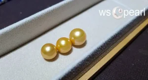 South Sea Pearl – Giá Một Viên Ngọc Trai Thật