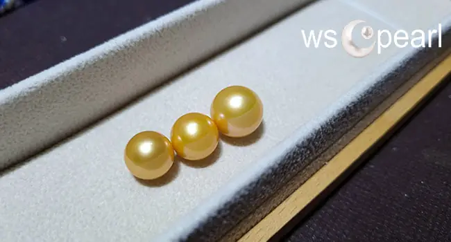 South Sea Pearl – Giá Một Viên Ngọc Trai Thật