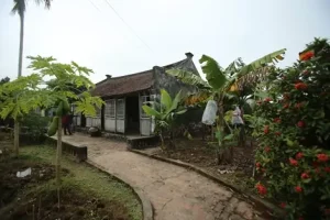 Cận Cảnh Ngôi Nhà Bá Kiến Hơn 100 Năm Tuổi Ở "làng Vũ Đại" - Báo ...