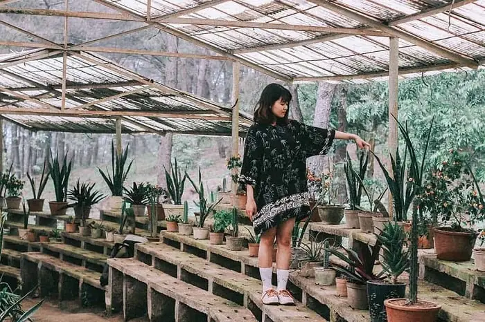 Không Gian “gai Góc” Đầy Cuốn Hút