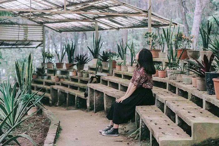 Không Gian “gai Góc” Đầy Cuốn Hút