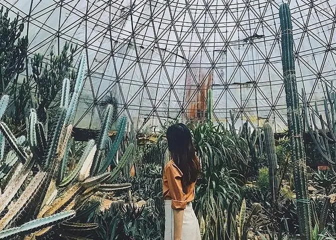 Không Gian “gai Góc” Đầy Cuốn Hút