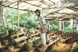 Không Gian “gai Góc” Đầy Cuốn Hút
