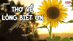 17 Bài Thơ Về Lòng Biết Ơn Ông Bà, Cha Mẹ, Thầy Cô Và Cuộc Sống Hay ...