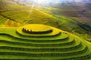 Top 10 Cảnh Đẹp Nhất Thế Giới – Ruộng Bậc Thang