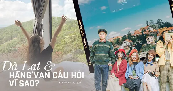 Du Lịch Đà Lạt Và Hàng Vạn Câu Hỏi Tưởng Ngớ Ngẩn Nhưng Hóa Ra ...