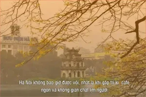 Hà Nội Trong Ẩm Thực: Nét Tinh Hoa Của Văn Hóa