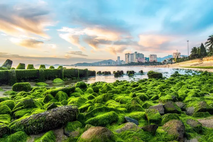 Bãi Đá Rêu Nha Trang
