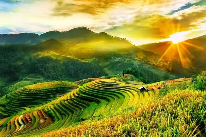 Ruộng Bậc Thang Sa Pa