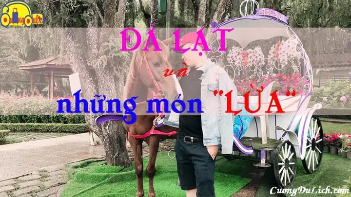 Note Ngay 5 Không Để Tránh Dính 5 Cú Lừa Khi Đi Du Lịch Đà Lạt Note Ngay 5 Không Để Tránh Dính 5 Cú Lừa Khi Đi Du Lịch Đà Lạt