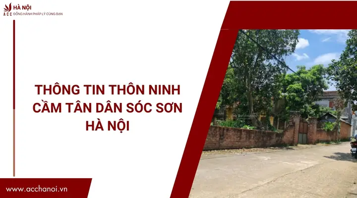 Thông Tin Thôn Ninh Cầm Tân Dân Sóc Sơn Hà Nội