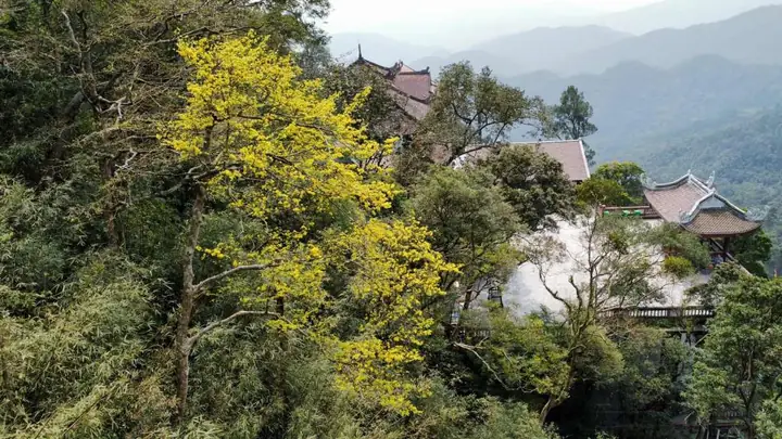 Khám Phá Núi Yên Tử: Hành Trình Chinh Phục Đỉnh Thiêng | Xanh Sm Khám Phá Núi Yên Tử: Hành Trình Chinh Phục Đỉnh Thiêng | Xanh Sm