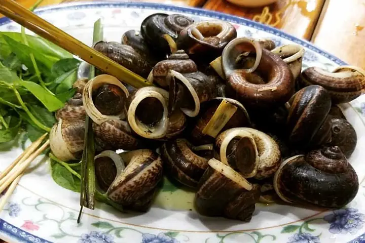 Ốc Núi Đá Thanh Hóa Giá Bao Nhiêu 1 Kg? Mua Ở Đâu Uy Tín Hiện Nay Ốc Núi Đá Thanh Hóa Giá Bao Nhiêu 1 Kg? Mua Ở Đâu Uy Tín Hiện Nay