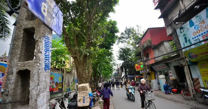 Ghé Thăm Con Phố Tên 8/3 Ở Hà Nội | Báo Dân Trí