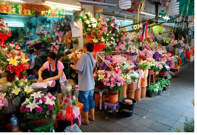 Khám Phá Phố Hoa Giả, Cây Giả Vạn Người Mê Trong Lòng Phố Cổ Hà ... Khám Phá Phố Hoa Giả, Cây Giả Vạn Người Mê Trong Lòng Phố Cổ Hà ...