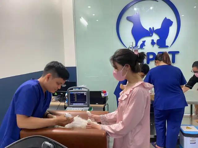 Gợi Ý Phòng Khám Thú Y Thủ Đức Giá Hợp Lý, Dịch Vụ Chất Lượng