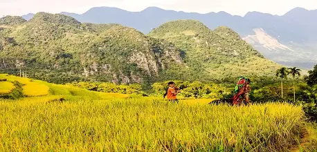 Bỏ Phố Về Pù Luông - Điểm Đến Xanh Nổi Tiếng Thanh Hóa