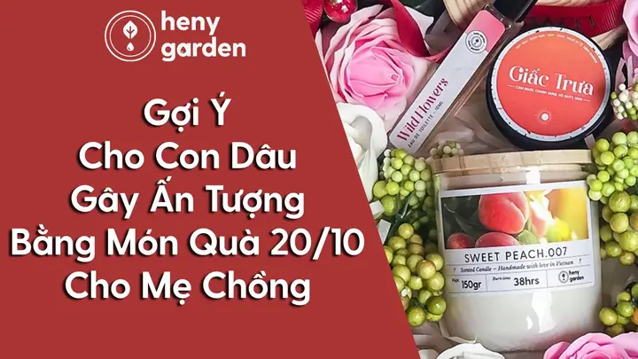 Gợi Ý Cho Con Dâu Gây Ấn Tượng Bằng Những Món Quà 20/10 ...