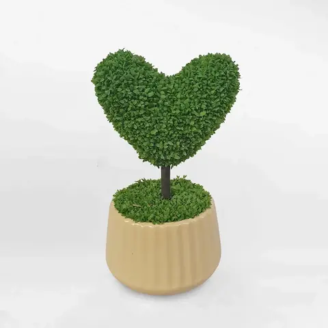 Cỏ May Mắn Hình Trái Tim