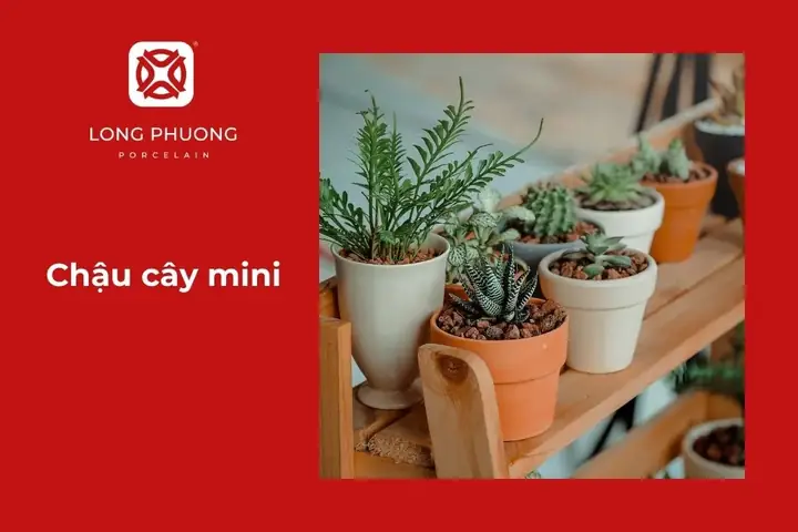 Chậu Cây Mini