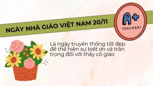 Ngày 20/11 Là Ngày Gì?