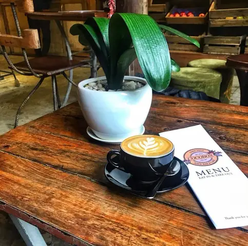 Cocobox – Quán Cafe Vườn Đẹp Ở Hội An Không Nên Bỏ Lỡ