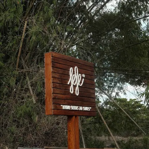12. Fefe Coffee 12. Fefe Coffee