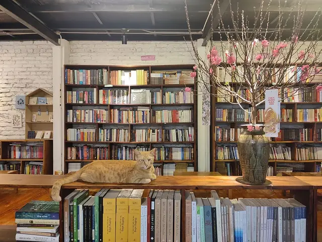 13. Tổ Chim Xanh Cafe – Top Quán Cafe Yên Tĩnh Ở Hà Nội