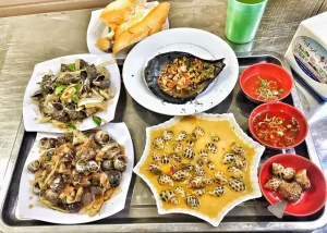 Ốc Thủy Dương