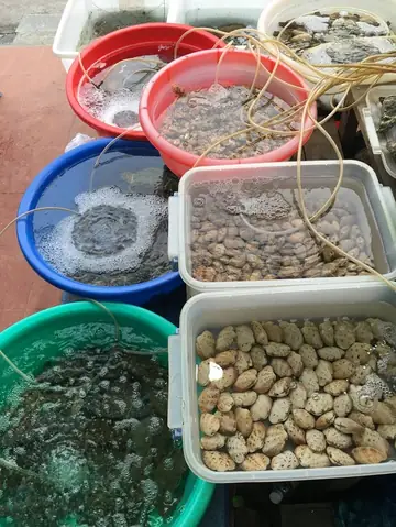 Quán Ốc Long Vũ