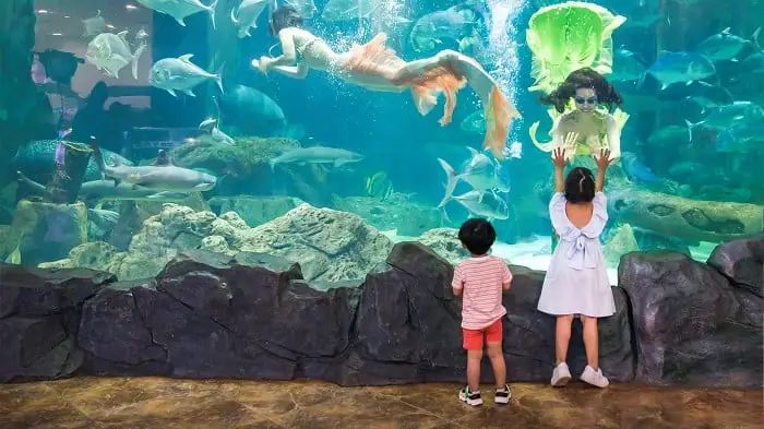Ở Hà Nội Có Thủy Cung Nào Nên Đi?