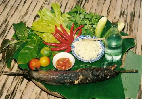 U Minh Hạ Có Đặc Sản Gì ? U Minh Hạ Có Đặc Sản Gì ?