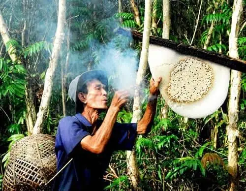 Câu Cá Lấy Mật Trong Rừng Câu Cá Lấy Mật Trong Rừng