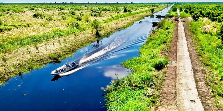 Đi Thuyền Thăm Quan Rừng Đước Đi Thuyền Thăm Quan Rừng Đước