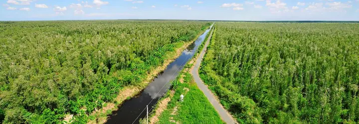 Chiêm Ngưỡng Vườn Quốc Gia U Minh Hạ, Vẻ Đẹp Thiên Nhiên Trù Phú Chiêm Ngưỡng Vườn Quốc Gia U Minh Hạ, Vẻ Đẹp Thiên Nhiên Trù Phú