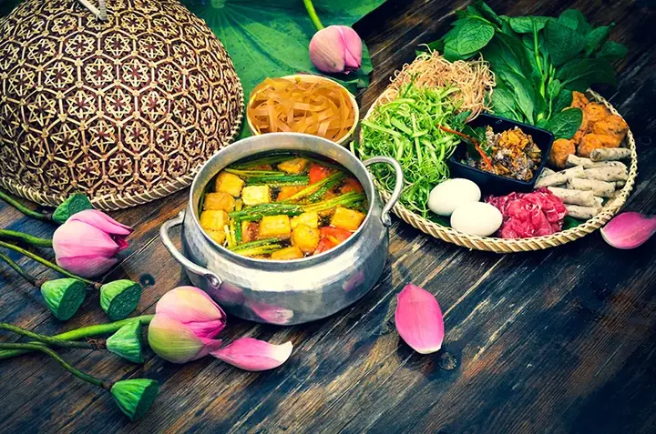 Hành Trình Khám Phá Rừng U Minh Vô Cùng Thú Vị Khi Đi Miền Tây Dịp ...