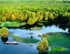 Vườn Quốc Gia U Minh Thượng - Kinh Nghiệm Khám Phá A-z
