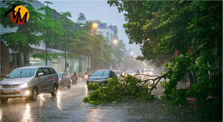 Thời Tiết Thời Tiết