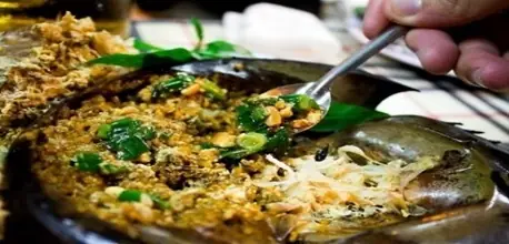Sam Biển Quảng Ninh - Loại Hải Sản Quý Hiếm Với Nhiều Món Ngon ...