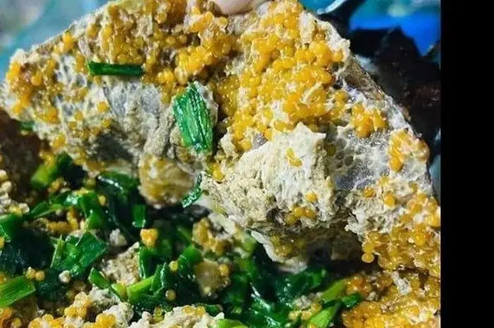 Loại Hải Sản Thường Xuất Hiện Theo Cặp, Từng Có Giá Tiền Triệu, Giờ ...