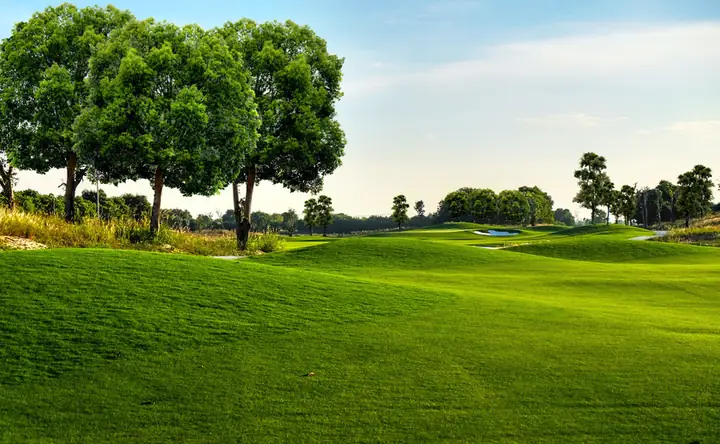 Sân Golf Vinpearl Nam Hội An Mang Đến Trải Nghiệm Golf Đẳng Cấp Cho Du Khách Sân Golf Vinpearl Nam Hội An Mang Đến Trải Nghiệm Golf Đẳng Cấp Cho Du Khách