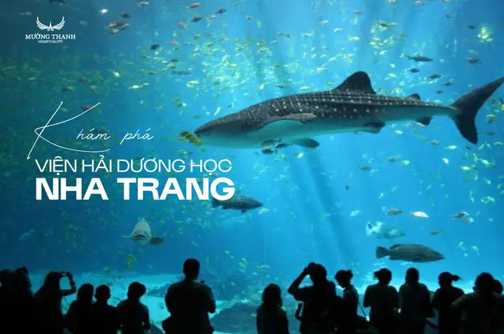 Viện Hải Dương Học Nha Trang - Đại Dương Thu Nhỏ Giữa Lòng Phố ... Viện Hải Dương Học Nha Trang - Đại Dương Thu Nhỏ Giữa Lòng Phố ...