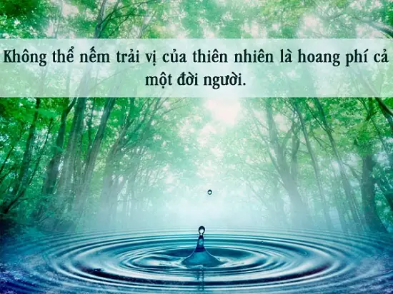 Stt Cảnh Äẹp Hay Stt Cảnh Äẹp Hay