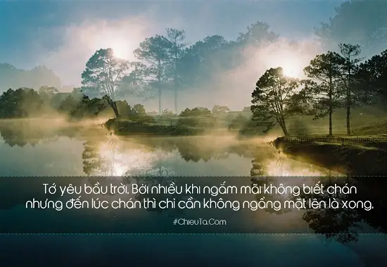 Những Cã¢u Nã³i Hay Vá» Cảnh Äẹp Những Cã¢u Nã³i Hay Vá» Cảnh Äẹp