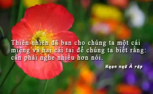 Stt Vá» Thiãªn Nhiãªn Vã Tã¬nh Yãªu