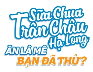 Hệ Thống Cơ Sở – Sữa Chua Trân Châu Hạ Long
