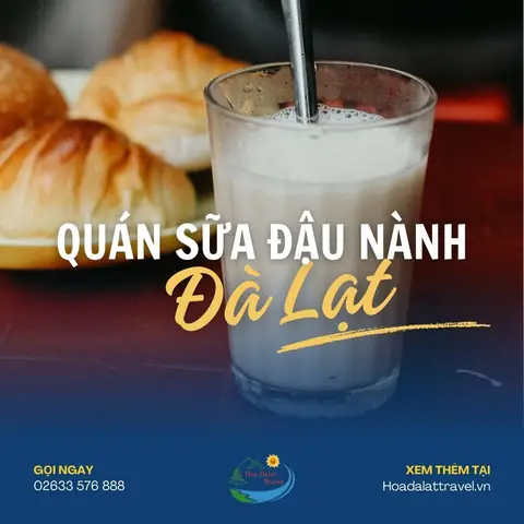 Top 10 Quán Sữa Đậu Nành Đà Lạt Thơm Ngon Nhất Định Phải Thử!