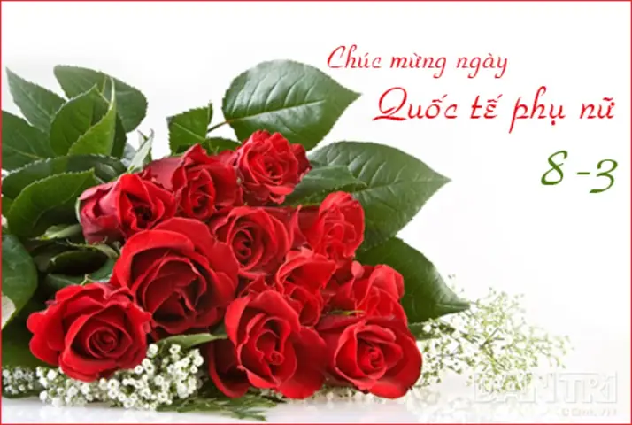 Hình Ảnh Cho Tải Thiệp Chúc Mừng Ngày 8 3: